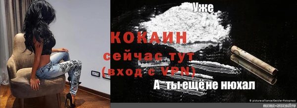 спайс Гусев
