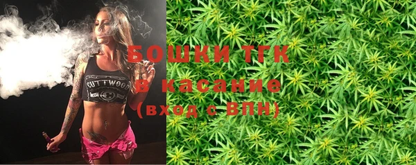 амф Менделеевск
