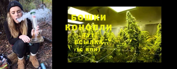 jwh Гусь-Хрустальный