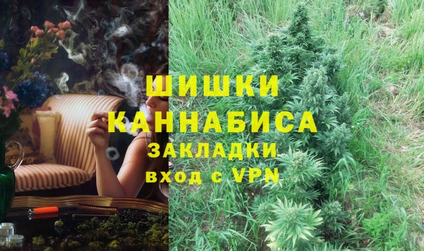 спайс Гусев